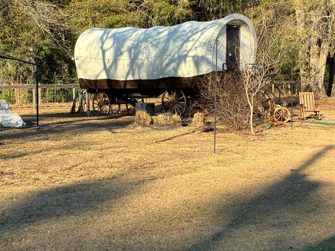 Rooterville Animal Sanctuary-Melrose必去景点