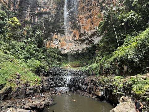 Purling Brook Falls-春之泉必去景点