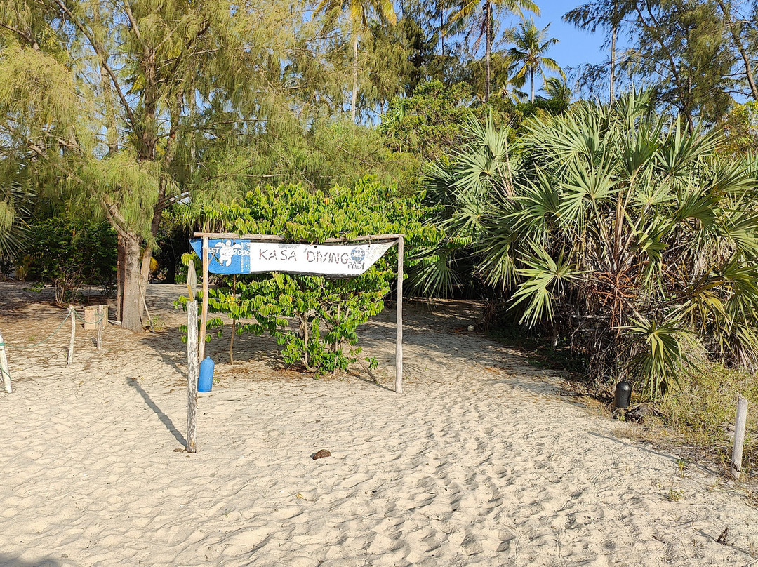 Kasa Diving - Diving Maziwe Marine Reserve-Pangani必去景点