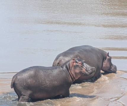 Destinex Travels-内罗毕必去景点