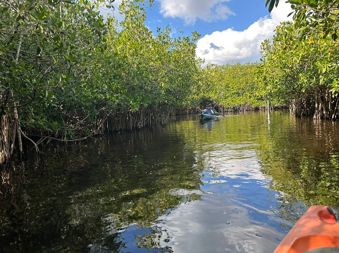 Everglades Adventures Kayak & Eco Tours-大沼泽地必去景点