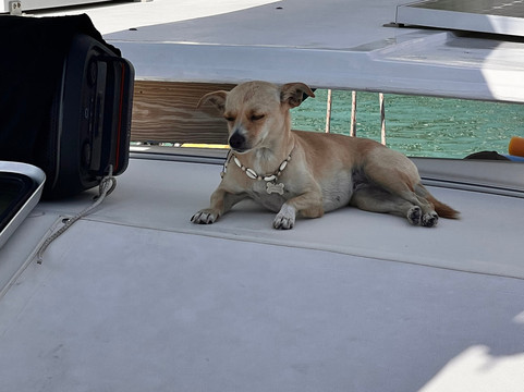 Random Wind-辛普森湾必去景点