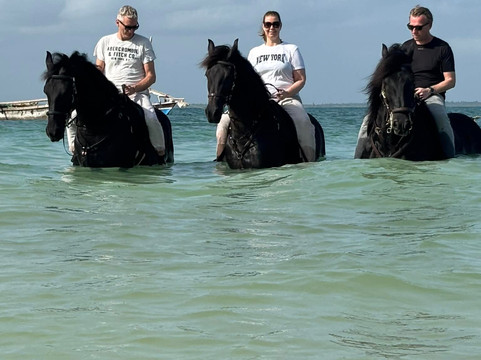 Royal Stable Zanzibar-米查维必去景点