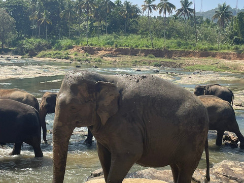 Go Holiday Tours-尼甘布必去景点