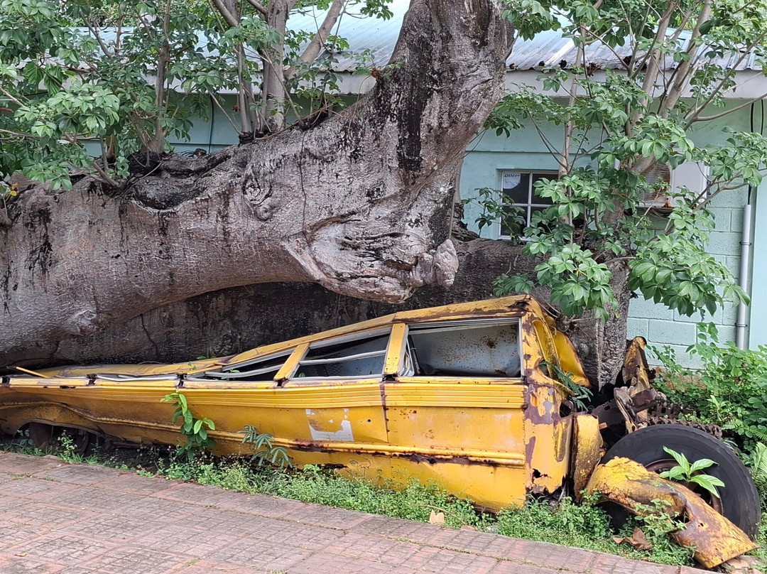 David and Goliath-罗索必去景点