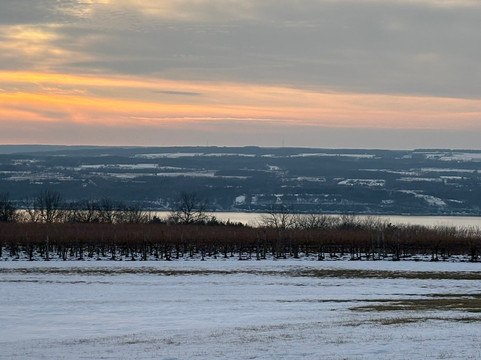 Wagner Vineyards-Lodi必去景点