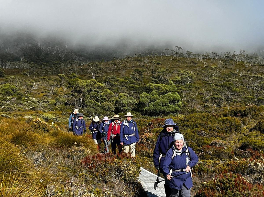 The Overland Track-摇篮山圣克莱尔湖国家公园必去景点