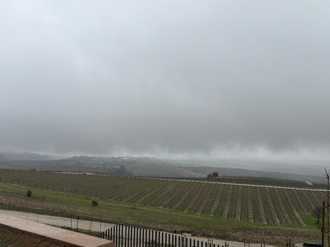 Aya Estate Vineyards-Harsovo必去景点