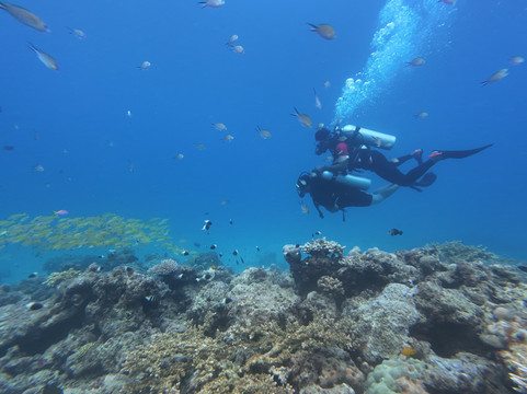 Turquoise Dream-Neil Island必去景点
