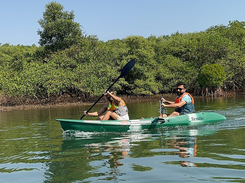 Konkan Explorers-Morjim必去景点