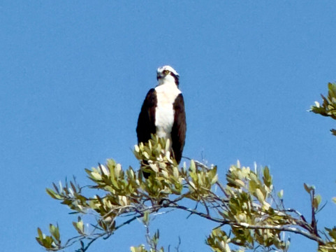 Río Lagartos Experience By Jorge N-里奥拉加托斯必去景点