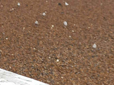 布莱顿码头-布莱顿必去景点