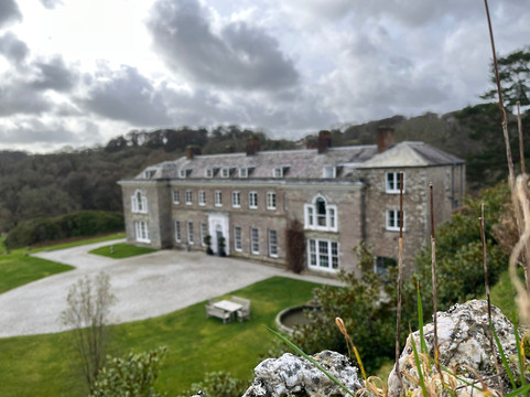 Boconnoc Estate-Lostwithiel必去景点