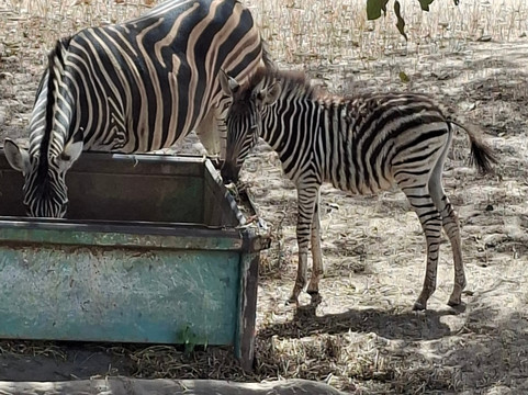 Gambia and Senegal tours with Ebrima-Tanji必去景点