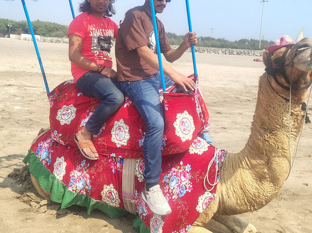 索姆纳特中心丽景酒店主图