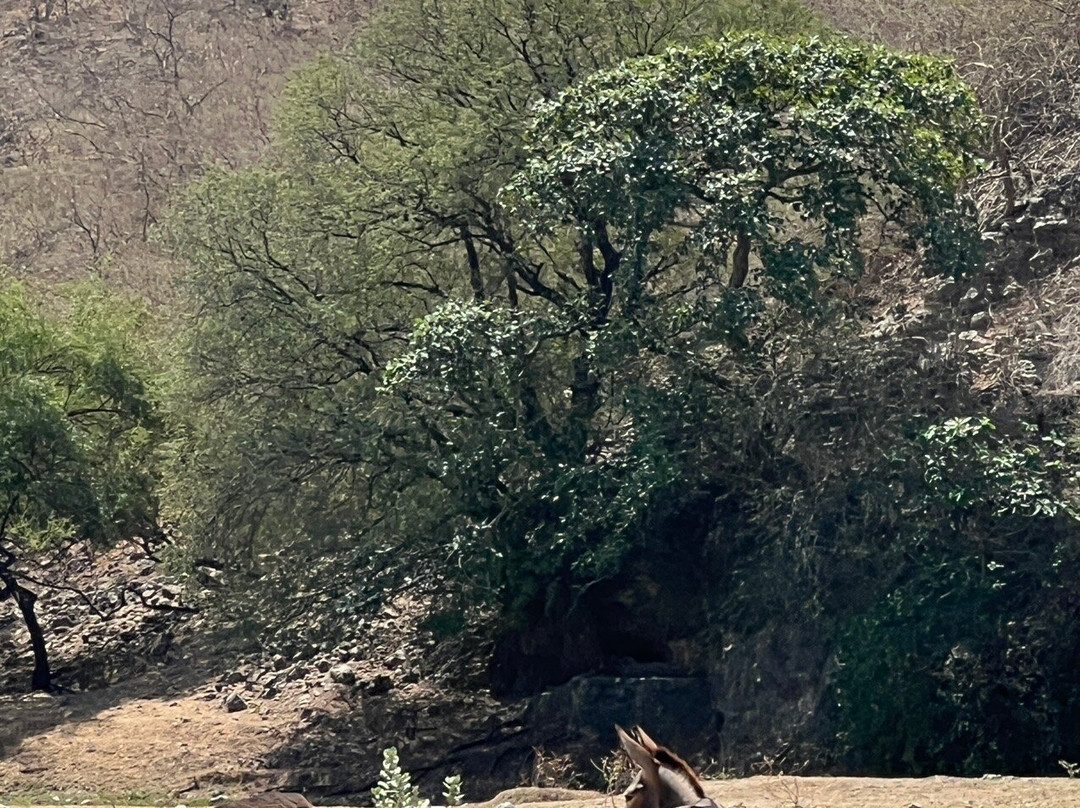 Ahmed Salalah tour guide-塞拉莱必去景点