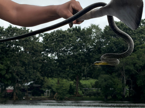 Amazon Jungle Johnny Tours-Puerto Narino必去景点