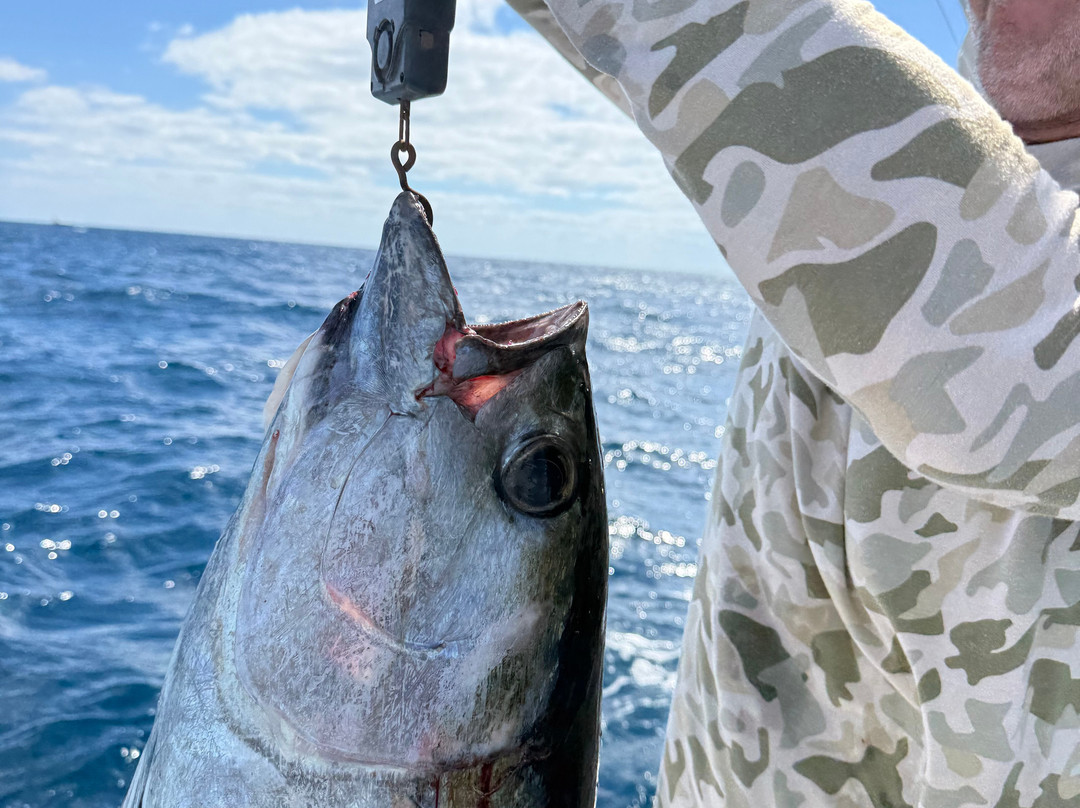 Early Bird Fishing Charters-伊斯拉摩拉达必去景点