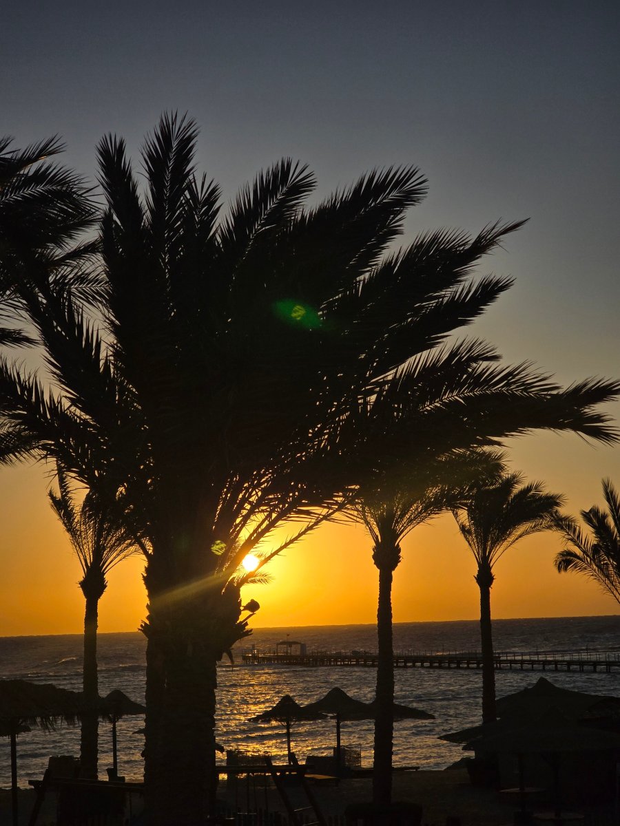 古赛尔弗拉门科海滩度假酒店-官方