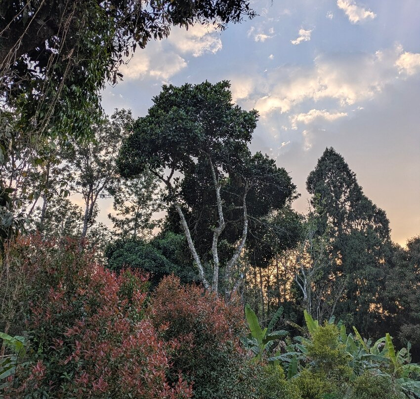 SaffronStays Biccode Woodside Heritage