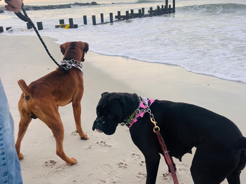 五月岬郡寄宿屋酒店主图