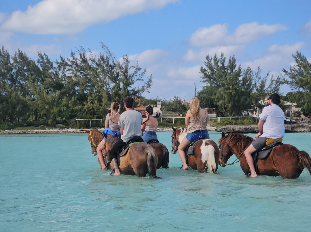 Heritage Tours & Horseback Riding-普罗维登西亚莱斯必去景点