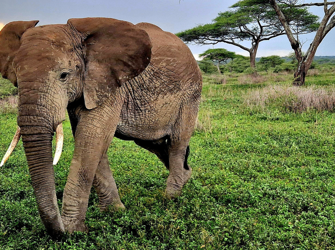 Calabash Adventures-阿鲁沙必去景点