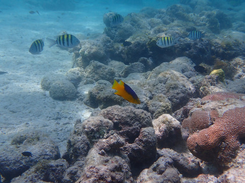 Seabob Aruba-Noord必去景点