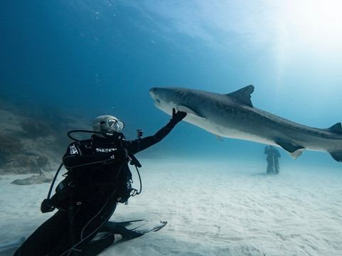 Epic Diving-West End必去景点