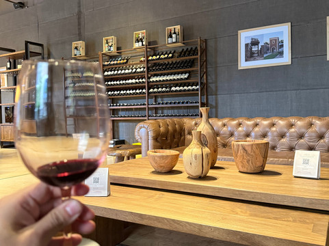 Bodega Los Toneles-门多萨必去景点