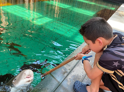 Port Stephens Animal Adventures-Bobs Farm必去景点