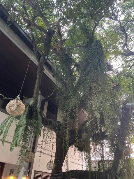 可伦坡万怡酒店-官方