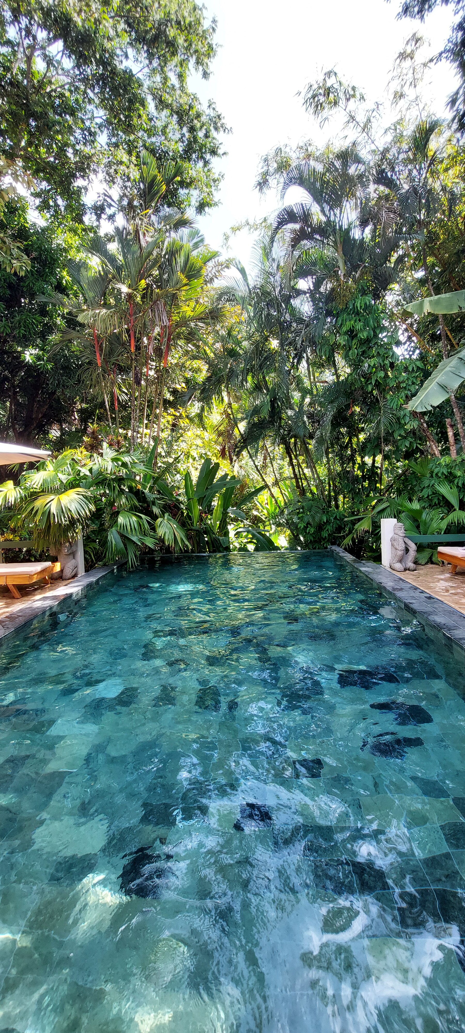 曼努尔安东尼奥福尔斯度假村-民宿-官方