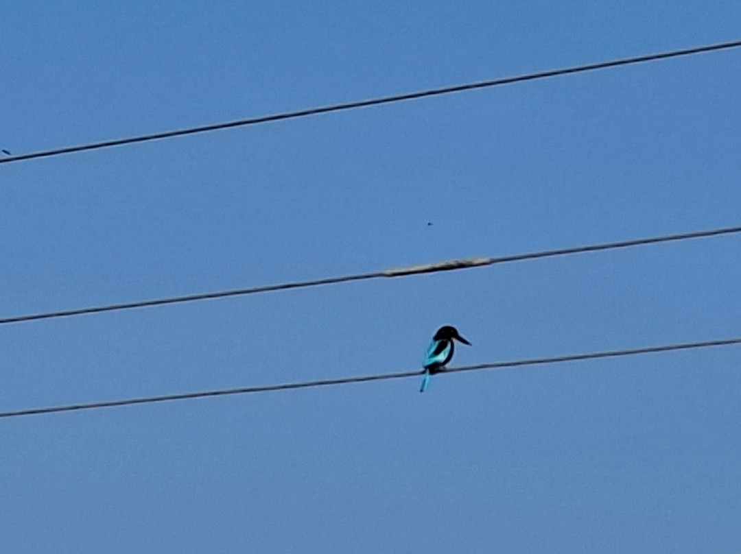 Wildlife Wonders Sri Lanka-唐卡拉必去景点