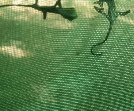 Zanzibar Kilosas Conservation-孥归必去景点