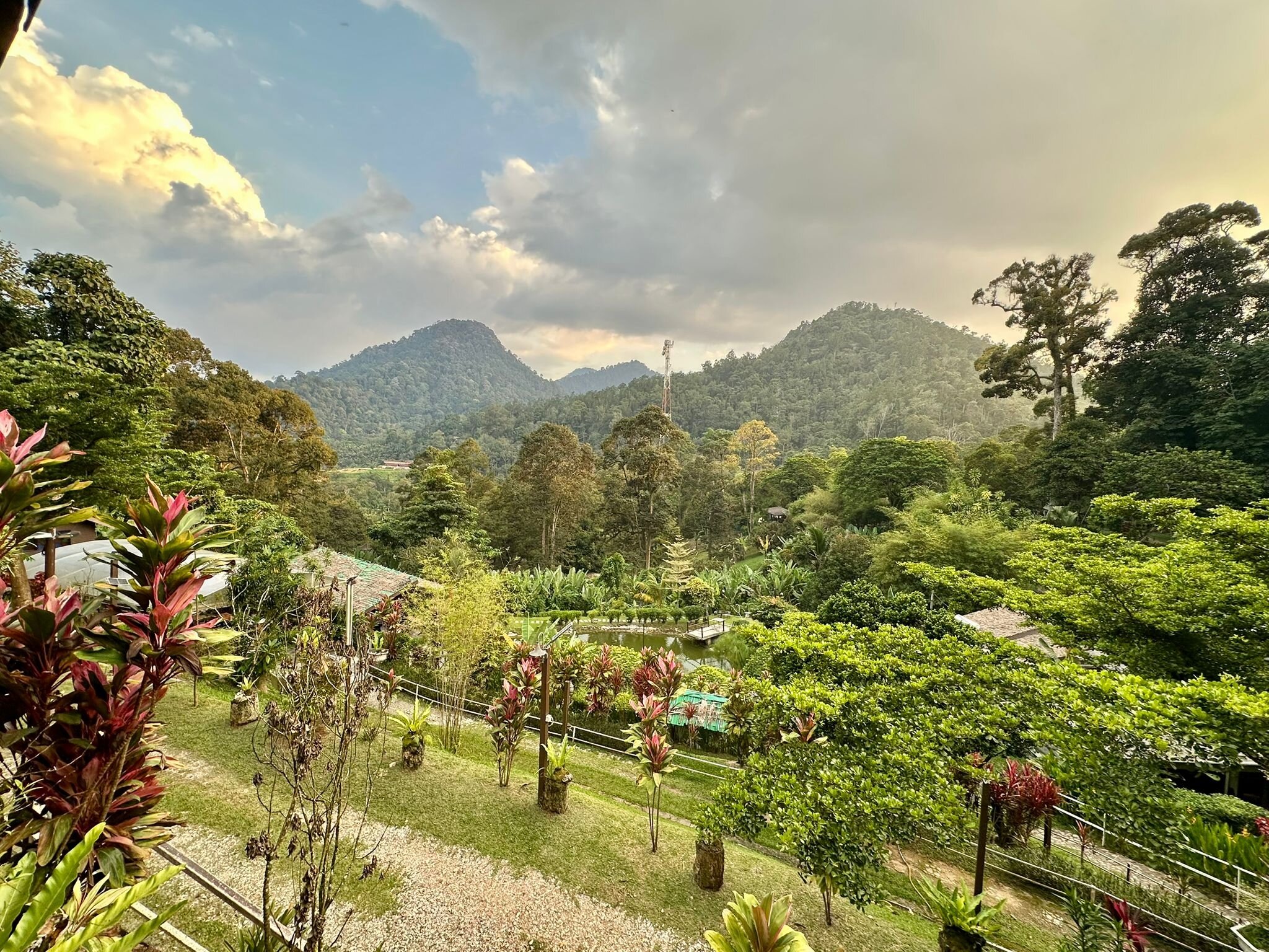 Adeline Villa & Rest House-官方