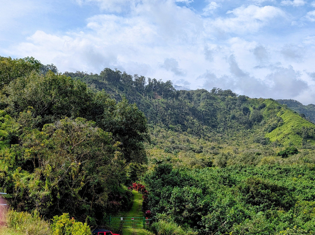 Adventure Maui Road to Hana Tour-哈纳必去景点