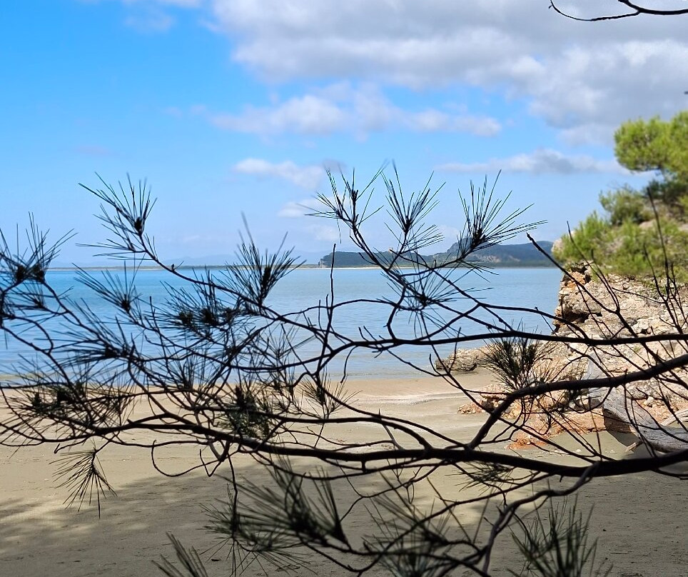Parco Naturale della Maremma-Alberese必去景点