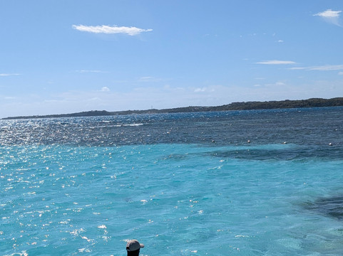 Stingray City-安提瓜必去景点