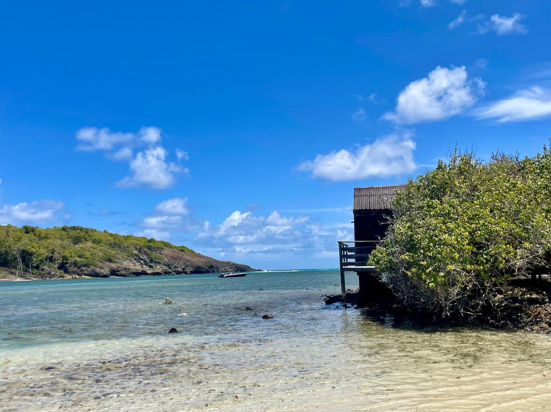 Capitaine Titi Balades en Mer-La Trinite必去景点