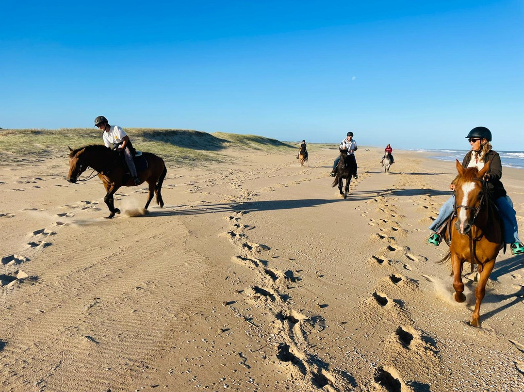 Eco Equus Cabalgatas-La Pedrera必去景点