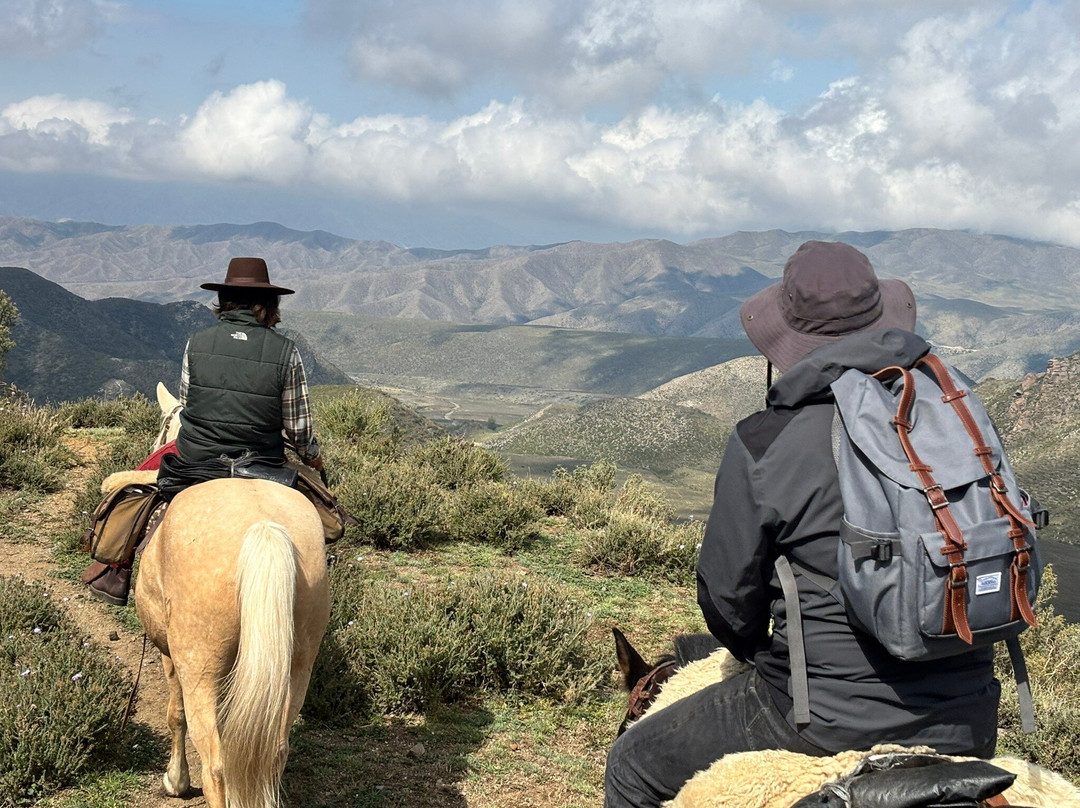 Horse Trek Andes-门多萨必去景点