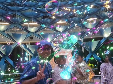 Sentosa SensoryScape-新加坡必去景点