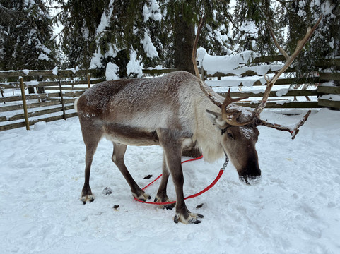 Ruka Adventures-库萨莫必去景点