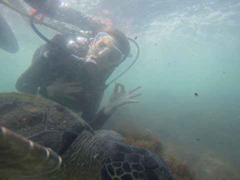 Paraíso das Tartarugas-Bombinhas必去景点