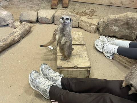 Wigfield Farm-巴恩斯利必去景点