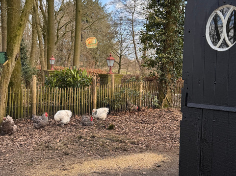 布克思路特住宿加早餐旅馆主图