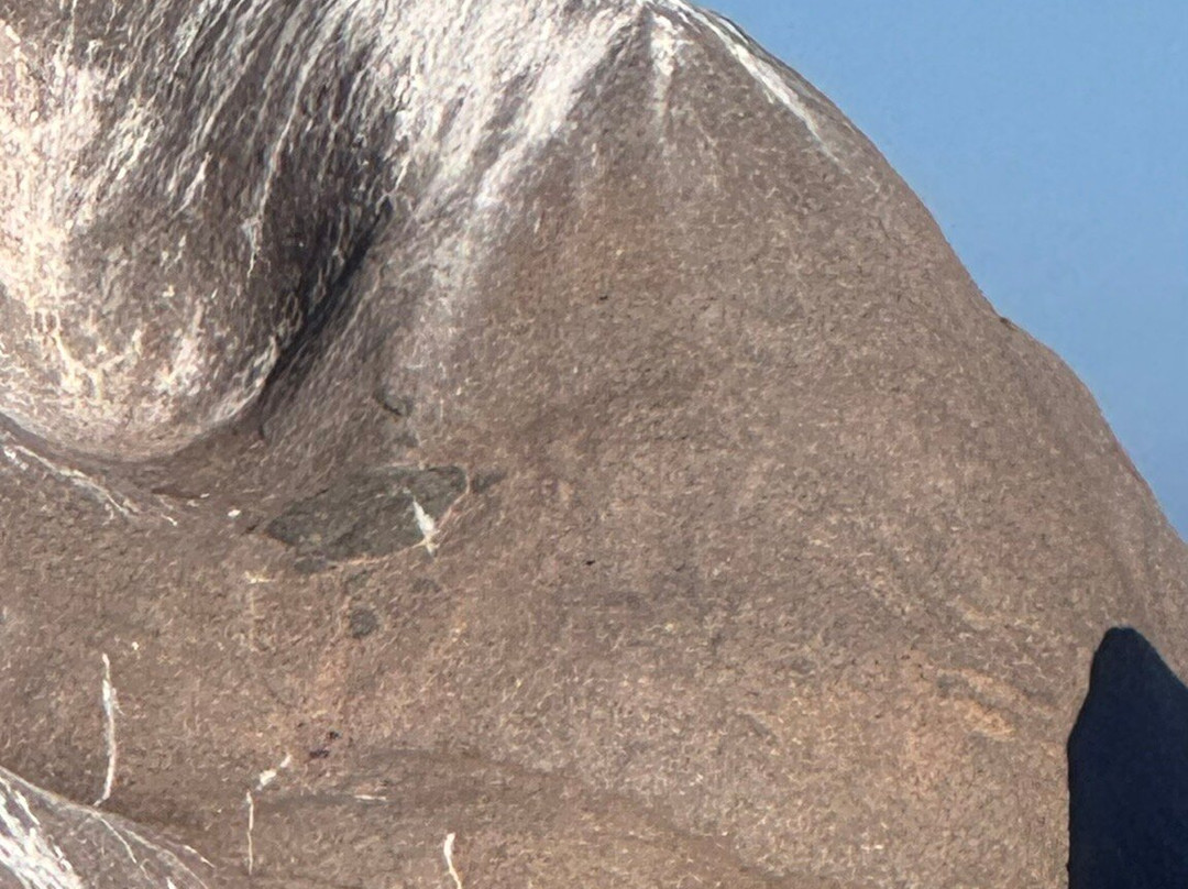 Wow E Bikes - Paternoster, Westcap, Za-Paternoster必去景点