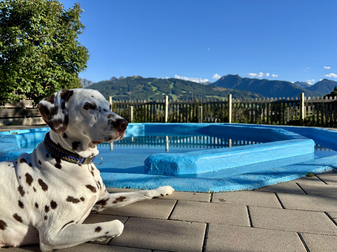 阿尔夫瑞登酒店