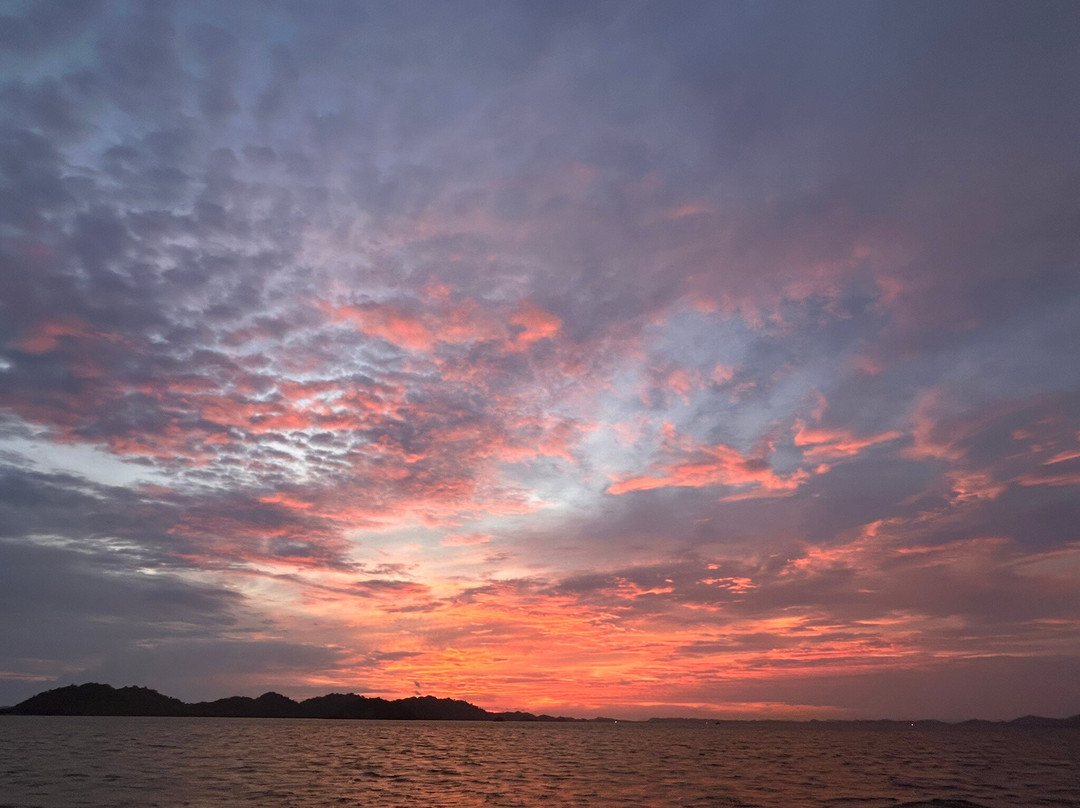 Cruising Raja Ampat - Wisesa Liveaboard-索龙必去景点
